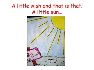 A little wish and that is that. A little sun…