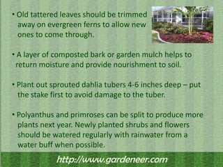  Evergreen hedges should be clipped.