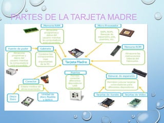 PARTES DE LA TARJETA MADRE
 