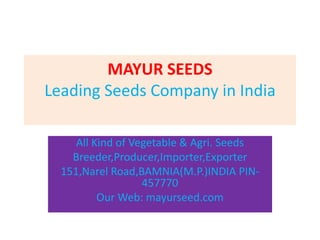 MAYUR SEEDS
Leading Seeds Company in India
All Kind of Vegetable & Agri. Seeds
Breeder,Producer,Importer,Exporter
151,Narel Road,BAMNIA(M.P.)INDIA PIN-
457770
Our Web: mayurseed.com
 