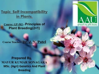 Topic: Self-Incompatibility
in Plants.
Course: GP-503 - Principles of
Plant Breeding(2+1)
Course Teacher: Dr. J. N. Patel
Prepared By,
MAYUR KUMAR SONAGARA
MSc. (Agri) Genetics And Plant
Breeding
 