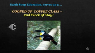 Earth Soup Education, serves up a …
‘COOPED UP’ COFFEE CLASS –
2nd Week of May!
©
 