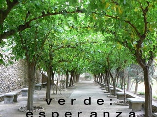 verde: esperanza