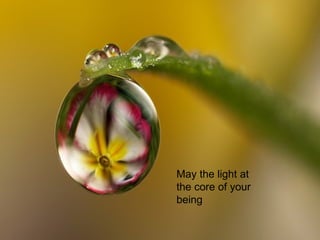 May the light at the core of your being  