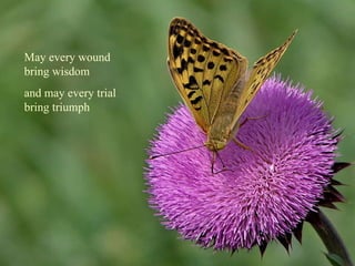 May every wound bring wisdom and may every trial bring triumph 