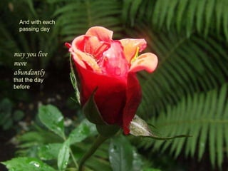 And with each passing day may you live more abundantly  that the day before 