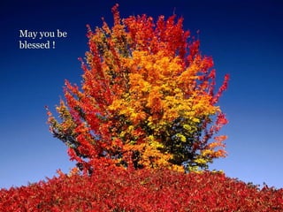 May you be blessed ! 