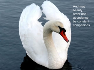 And may beauty, order and abundance be constant companions  