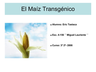 El Maíz Transgénico ,[object Object],[object Object],[object Object]