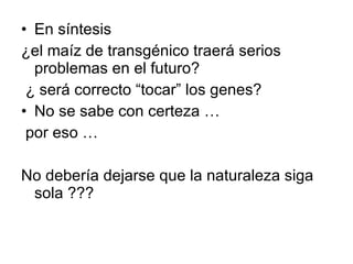 En síntesis  ¿el maíz de transgénico traerá serios problemas en el futuro?  ¿ será correcto “tocar” los genes?  No se sabe con certeza … por eso … No debería dejarse que la naturaleza siga sola ??? 