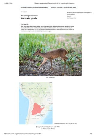 11/5/22, 16:48 Mazama gouazoubira | Categorización de los mamíferos de Argentina
https://cma.sarem.org.ar/es/especie-nativa/mazama-gouazoubira 1/9
‹ ANTERIOR (/ES/ESPECIE-NATIVA/MAZAMA-AMERICANA) SIGUIENTE › (/ES/ESPECIE-NATIVA/MAZAMA-NANA)
Categoría Nacional de Conservación 2019
LC (Preocupación Menor)
Nº de ID: 211
Mazama gouazoubira
Corzuela parda
Cita sugerida
Juliá, Juan Pablo; Varela, Diego; Periago, María Eugenia; Cirignoli, Sebastián; Muzzachiodi, Norberto; Camino,
Micaela; Barri, Fernando; Iezzi, María Eugenia; de Bustos, Soledad (2019). Mazama gouazoubira. En: SAyDS–
SAREM (eds.) Categorización 2019 de los mamíferos de Argentina según su riesgo de extinción. Lista Roja de los
mamíferos de Argentina. Versión digital: http://cma.sarem.org.ar.
(/LC%20%28Preocupaci%C3%B3n%20Menor%
LC
(Preocupación
Menor)
(/es/categoria/lc)
+
−
Leaflet (http://leafletjs.com) | Tiles © Esri (http://esri.com)
Foto: Gabriel Rojo

Anterior

Siguiente
 