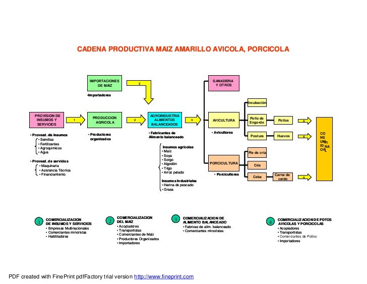 cadenas productivas fao maz amarillo duro cadenas productivas fao maz amarillo duro