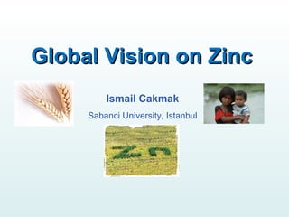 Global Vision on Zinc
         Ismail Cakmak
     Sabanci University, Istanbul
 