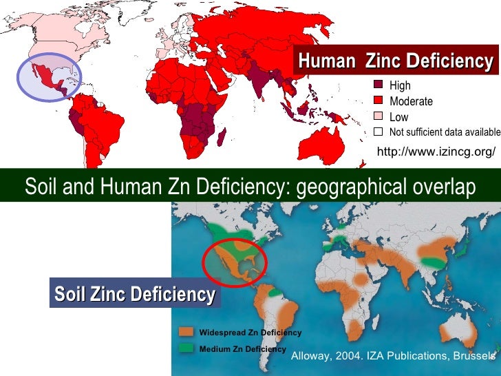Global Vision on Zinc