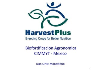 Biofortificacion Agronomica
     CIMMYT - Mexico

     Ivan Ortiz-Monasterio
                              1
 
