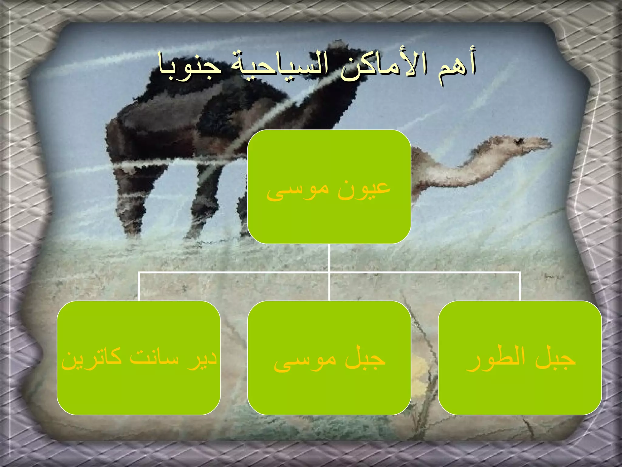 أهم الأماكن السياحية جنوبا عيون موسى دير سانت كاترين جبل موسى جبل الطور 