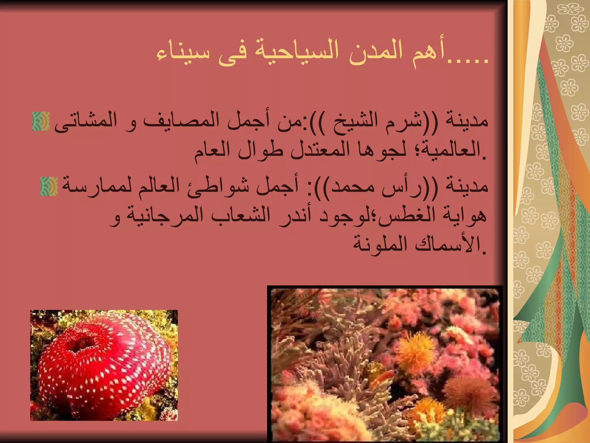 أهم المدن السياحية فى سيناء  ..... مدينة  (( شرم الشيخ  )): من أجمل المصايف و المشاتى العالمية؛ لجوها المعتدل طوال العام  . مدينة  (( رأس محمد )):  أجمل شواطئ العالم لممارسة هواية الغطس؛لوجود أندر الشعاب المرجانية و الأسماك الملونة  . 