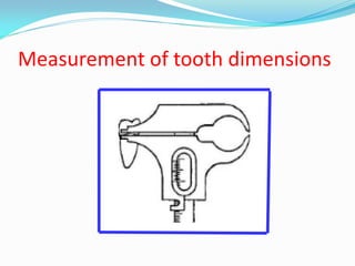 Mazen doumani dental anatomy | PDF