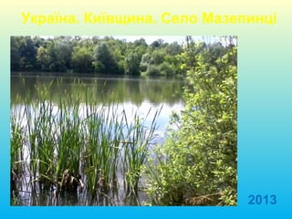 Україна. Київщина. Село Мазепинці
2013
 