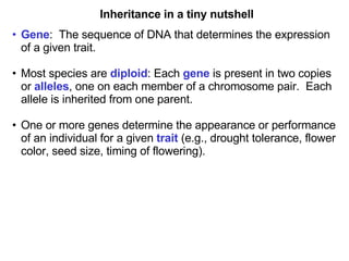 Inheritance in a tiny nutshell Gene :  The sequence of DNA that determines the expression of a given trait. Most species are  diploid : Each  gene  is present in two copies or  alleles , one on each member of a chromosome pair.  Each allele is inherited from one parent. One or more genes determine the appearance or performance of an individual for a given  trait  (e.g., drought tolerance, flower color, seed size, timing of flowering). 