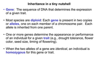 Inheritance in a tiny nutshell Gene :  The sequence of DNA that determines the expression of a given trait. Most species are  diploid : Each  gene  is present in two copies or  alleles , one on each member of a chromosome pair.  Each allele is inherited from one parent. One or more genes determine the appearance or performance of an individual for a given  trait  (e.g., drought tolerance, flower color, seed size, timing of flowering). When the two alleles of a gene are  identical , an individual is  homozygous  for this gene or trait. 