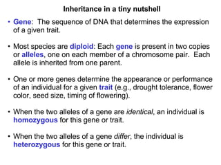Inheritance in a tiny nutshell Gene :  The sequence of DNA that determines the expression of a given trait. Most species are  diploid : Each  gene  is present in two copies or  alleles , one on each member of a chromosome pair.  Each allele is inherited from one parent. One or more genes determine the appearance or performance of an individual for a given  trait  (e.g., drought tolerance, flower color, seed size, timing of flowering). When the two alleles of a gene are  identical , an individual is  homozygous  for this gene or trait. When the two alleles of a gene  differ , the individual is  heterozygous  for this gene or trait. 