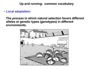Up and running:  common vocabulary Local adaptation:   The  process  in which natural selection favors different alleles or genetic types (genotypes) in different environments. 