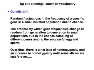 Up and running:  common vocabulary Genetic drift Random fluctuations in the frequency of a specific gene in a small isolated population due to chance. The process by which gene frequencies change at random from generation to generation in small populations due to the chance sampling of different genes among the successful egg and sperm. Over time, there is a net loss of heterozygosity and an increase in homozygosity until some alleles are lost forever….. 