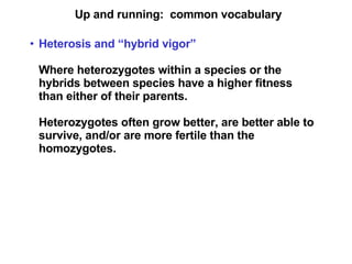 Up and running:  common vocabulary Heterosis and “hybrid vigor”   Where heterozygotes within a species or the hybrids between species have a higher fitness than either of their parents. Heterozygotes often grow better, are better able to survive, and/or are more fertile than the homozygotes. 
