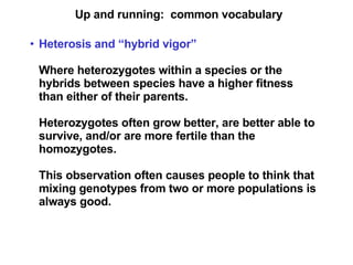 Up and running:  common vocabulary Heterosis and “hybrid vigor”   Where heterozygotes within a species or the hybrids between species have a higher fitness than either of their parents. Heterozygotes often grow better, are better able to survive, and/or are more fertile than the homozygotes. This observation often causes people to think that mixing genotypes from two or more populations is always good.   