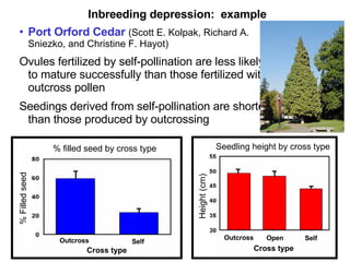 Inbreeding depression:  example Port Orford Cedar  (Scott E. Kolpak, Richard A. Sniezko, and Christine F. Hayot) Ovules fertilized by self-pollination are less likely to mature successfully than those fertilized with outcross pollen Seedings derived from self-pollination are shorter than those produced by outcrossing Cross type Cross type Outcross Outcross Self Self Open % filled seed by cross type Seedling height by cross type Height (cm) % Filled seed 