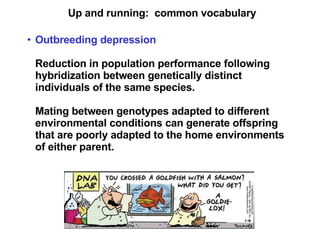 Up and running:  common vocabulary Outbreeding depression Reduction in population performance following hybridization between genetically distinct individuals of the same species. Mating between genotypes adapted to different environmental conditions can generate offspring that are poorly adapted to the home environments of either parent.   