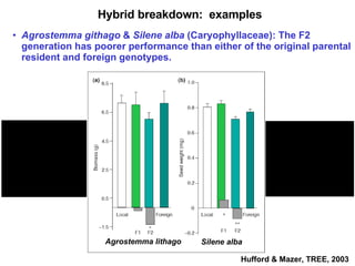 Hybrid breakdown:  examples Agrostemma githago  &  Silene alba  (Caryophyllaceae): The F2 generation has poorer performance than either of the original parental resident and foreign genotypes. Agrostemma lithago Silene alba Hufford & Mazer, TREE, 2003 
