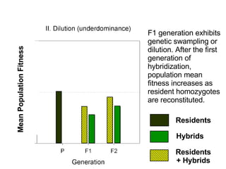 Possible Outcome of Hybridization between Resident and Introduced Genotypes F1 generation exhibits genetic swampling or dilution. After the first generation of hybridization, population mean fitness increases as resident homozygotes are reconstituted. Mean Population Fitness Residents Hybrids Residents + Hybrids 