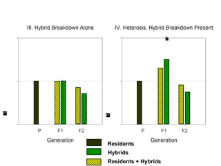 Mean Population Fitness Mean Population Fitness Possible Outcomes of Hybridization between Resident and Introduced Genotypes After 1st generation, population mean fitness declines as adaptive combinations are shuffled Magnitude of decline will depend on strength of  natural selection Residents Hybrids Residents + Hybrids 