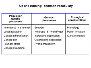 Up and running:  common vocabulary Inheritance in a nutshell Local adaptation  Genetic differentiation Genetic drift Founder effect Genetic swamping Population genetic processes Genetic phenomena Ecological considerations Ecotype  Heterosis  & “hybrid vigor” Inbreeding depression  Outbreeding depression Hybrid breakdown  Phenology Pollen limitation Climate change 