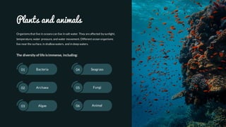 Plants and animals
Organismsthat live in oceanscan live in salt water. They areaffected by sunlight,
temperature, water pressure, and water movement. Different ocean organisms
live near the surface, in shallow waters, and in deep waters.
The diversity of life isimmense, including:
Bacteria01
Algae03
Archaea02
Animal06
Fungi05
Seagrass04
 