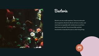 Bacteria
Bacteria arevery small organisms. They are prokaryotic
microorganisms. Bacterial cells do nothavea nucleus, and
most haveno organelleswith membranesaround them.
Most havea cell wall. They do haveDNA, and their
biochemistry is basically thesame as other living things.
 