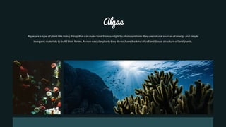 Algae are a type of plant-like living thingsthat can make food from sunlightby photosynthesis.they usenatural sourcesof energy and simple
inorganic materials to build their forms. Asnon vascular plantsthey do nothavethe kind of cell and tissue structureof land plants.
Algae
 