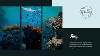Thefungi are a separate kingdom of living
things, different from animalsand plants.
Many marinefungi with diverse rolesare
found in oceanic environments.
Fungi
 