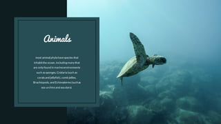 most animal phyla havespecies that
inhabitthe ocean, including many that
are only found in marineenvironments
such assponges, Cnidaria (such as
coralsand jellyfish), comb jellies,
Brachiopods, and Echinoderms(suchas
sea urchinsand sea stars).
Animals
 