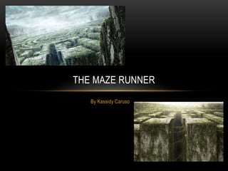 By Kassidy Caruso
THE MAZE RUNNER
 