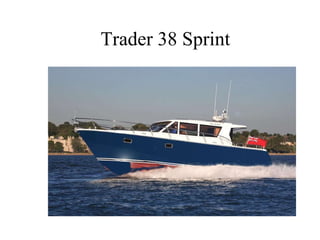 Trader 38 Sprint 