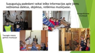 Suaugusiųjų padedami vaikai ieško informacijos apie jiems
nežinomus daiktus, objektus, reiškinius muziejuose.
Tauragės miesto
gamtos muziejuje
Etnografiniame
muziejuje
 