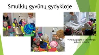 Smulkių gyvūnų gydykloje
Vaikai susipažįsta su veterinarijos
gydytojo profesija
 