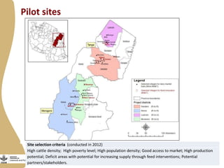 Pilot sites
Site selection criteria (conducted in 2012)
High cattle density; High poverty level; High population density; Good access to market; High production
potential; Deficit areas with potential for increasing supply through feed interventions; Potential
partners/stakeholders.
 