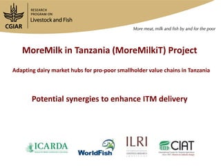 MoreMilk in Tanzania (MoreMilkiT) Project
Adapting dairy market hubs for pro-poor smallholder value chains in Tanzania
Potential synergies to enhance ITM delivery
 