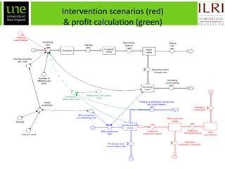 Ex-ante impact assessment in improving the dairy value chain in Tanzania: A system dynamics approach
