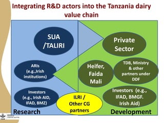 Maziwa Zaidi: Tanzania smallholder dairy value chain R4D program—An experiment to improve AR4D