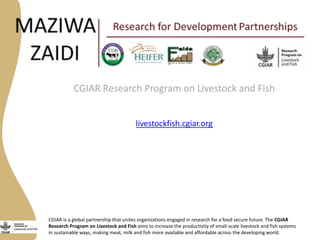 Maziwa Zaidi: Tanzania smallholder dairy value chain R4D program—An experiment to improve AR4D